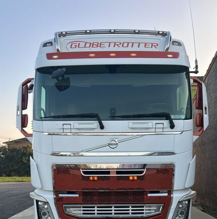 Edelstahl H-Typ Dachschutzrohr / Montage über die originalen Schrauben der Sonnenblende