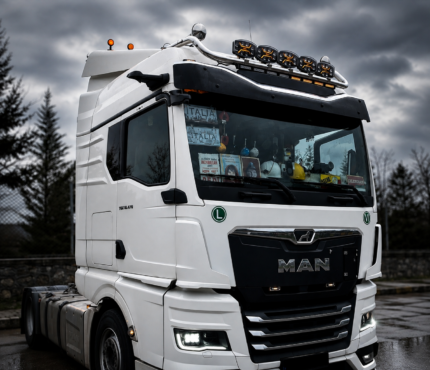 Edelstahl Dachschutzrohr - TGX - TGS / 2010 - 2019 / TGX 2021 GM KABINE