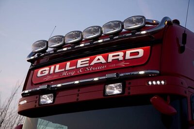 Neon Skyled PRO für Scania Topline (25x165cm) – Leuchtschild